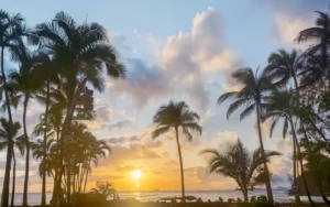 10 Best places to propose in Oahu. Golden sunset through palm trees along the beach in Waikiki, Oahu, Hawaii